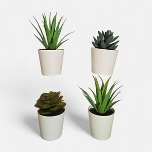 Set of Four Artificial Succulent Plants in Cream Pots